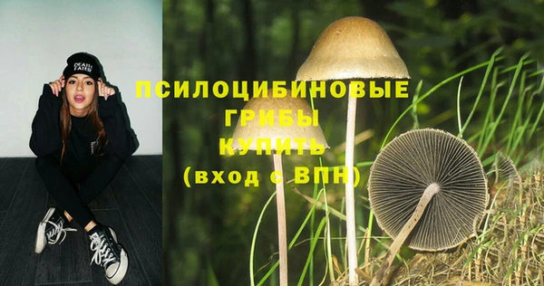 прущий лед Богородицк